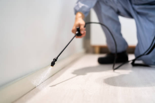 Licensed Termite Control service in Marrero, LA - Nex Pest Control
