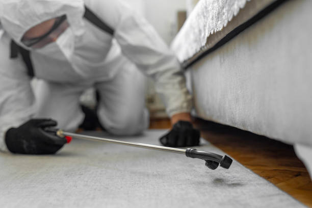 Professional Termite Control technician working in Marrero, LA
