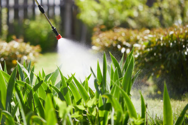 24/7 Emergency Termite Control experts in Marrero, LA