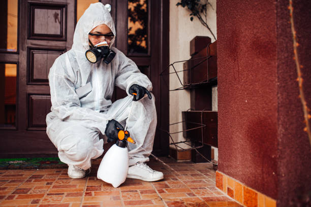 Reliable Termite Control contractor in Marrero, LA by Nex Pest Control